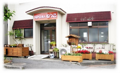 ねっこ販売所 /は～とふるTOTTORI /とりネット /鳥取県公式ホームページ