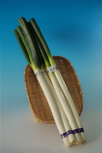 ���挧�Y�@���l�M�̎ʐ^